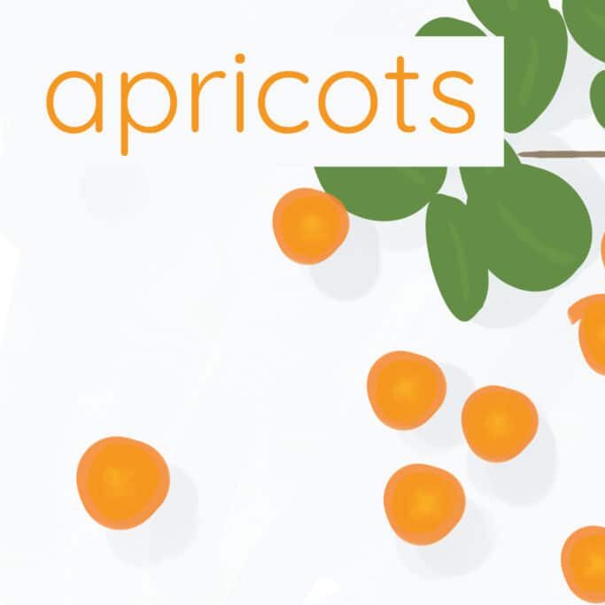 apricots 1024x683 1 e1756143394566